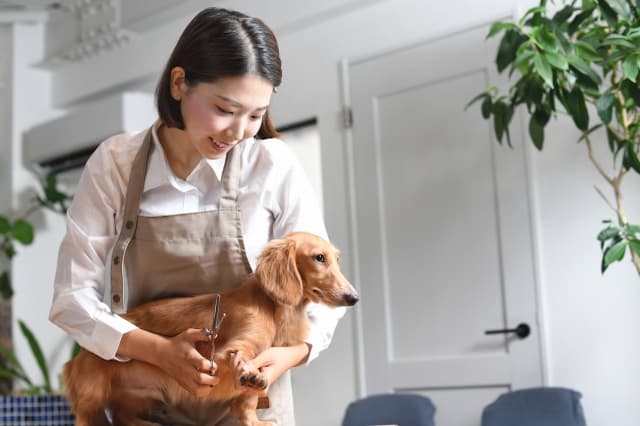 Heart Dog株式会社／Dog care salon inucocoroのトリマー パート求人（山梨県甲府市貢川本町のサロン）
