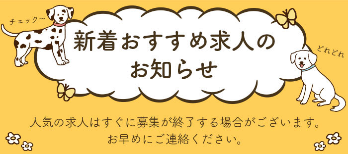 新着オススメ求人のお知らせ 人気の求人は早急に応募が終了する場合がございます。お早目にご連絡下さい。