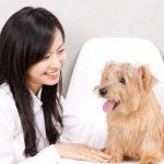 トリマーに向いている人の特徴5選！仕事内容とやりがいや向いてない人について